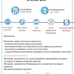 Blue Marine C16 Sunny Слънчев бряг