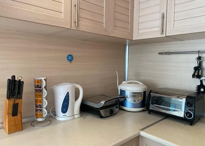 Blue Marine C16 Sunny